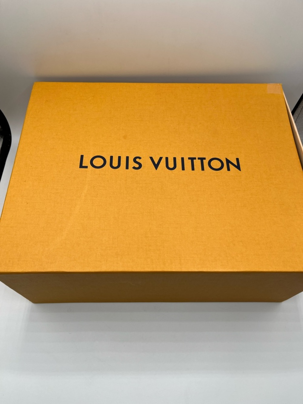 Louis Vuitton Speedy Box 14” l x 11” w x 5.75” h